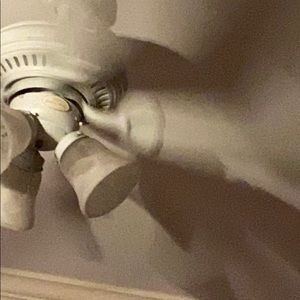 Meet your Posher, Riley